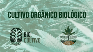 Curso Cultivo Orgânico Biológico