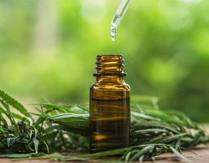 Curso método Accura de extração de cannabis medicinal