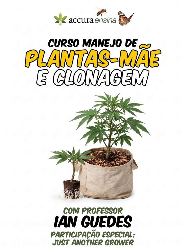 Manejo de Plantas Mãe e clonagem de Cannabis